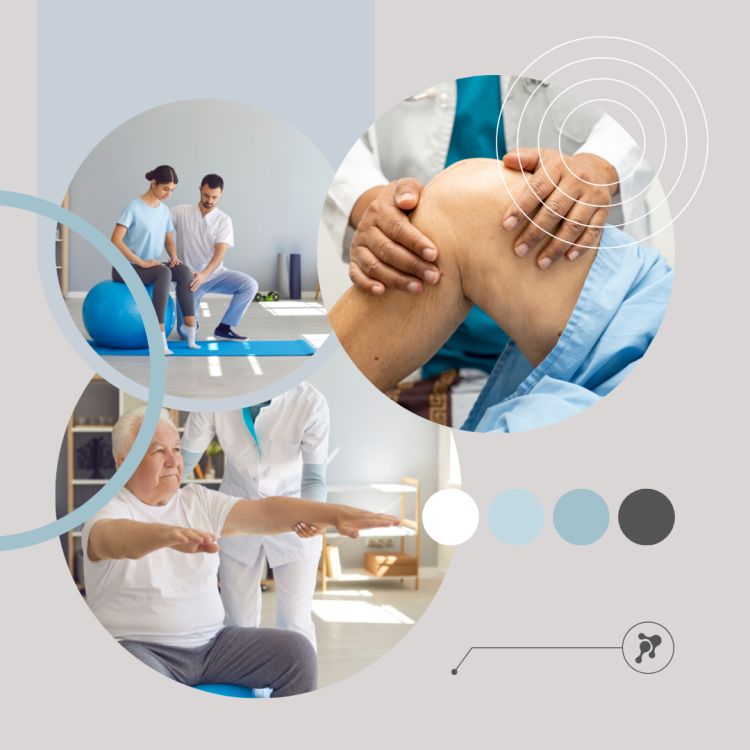 Фитокрем-бальзам (Крем для суставов, фитокрем) для суставов, локтей 250 мл. DctrGo  в Белгороде 